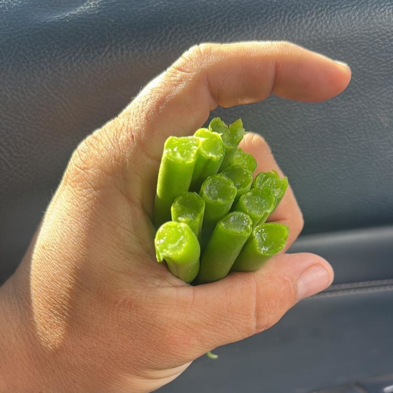 Green Beans