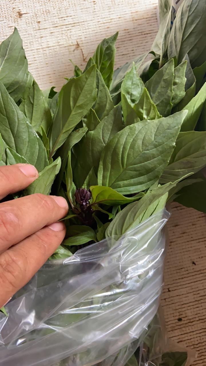 Thai Basil
